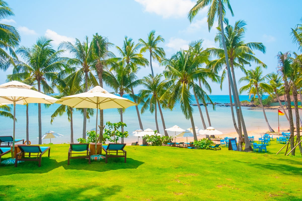 Tropical beach resort with lounge chairs and umbrellas overlooking turquoise sea